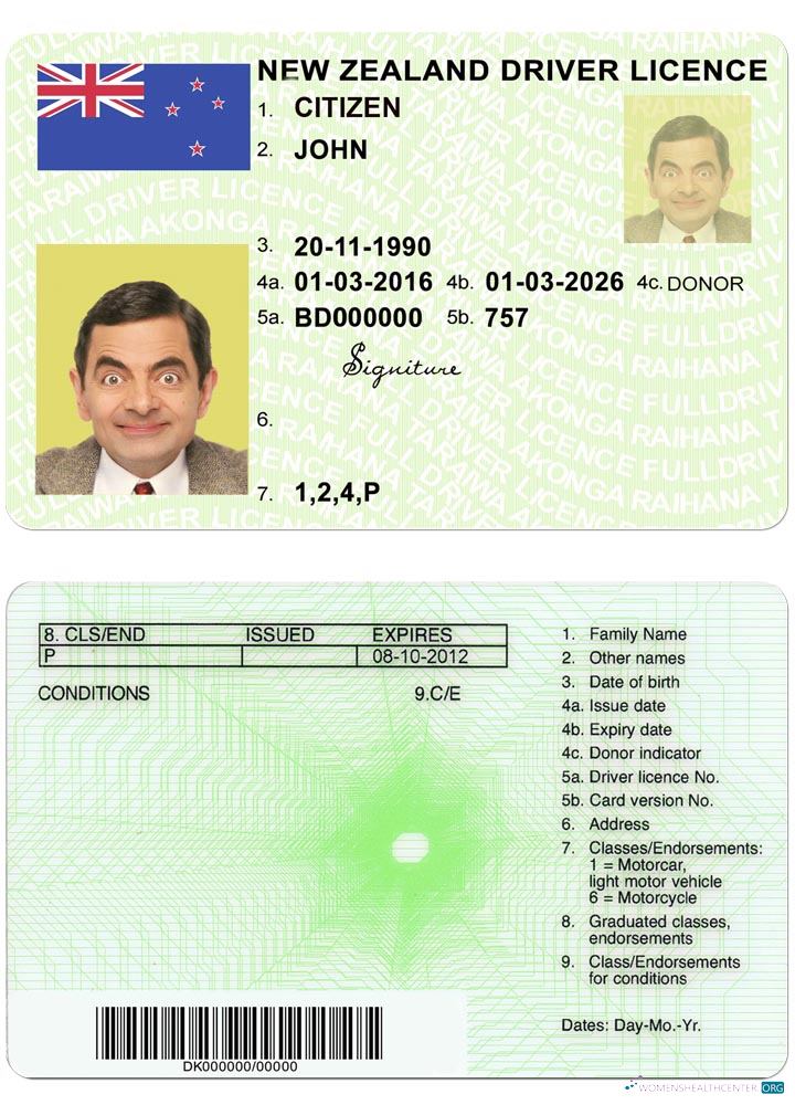 download NEW ZEALAND green driving license (fully qualified)